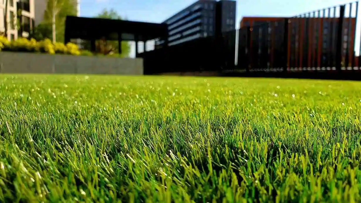 Green that stays green