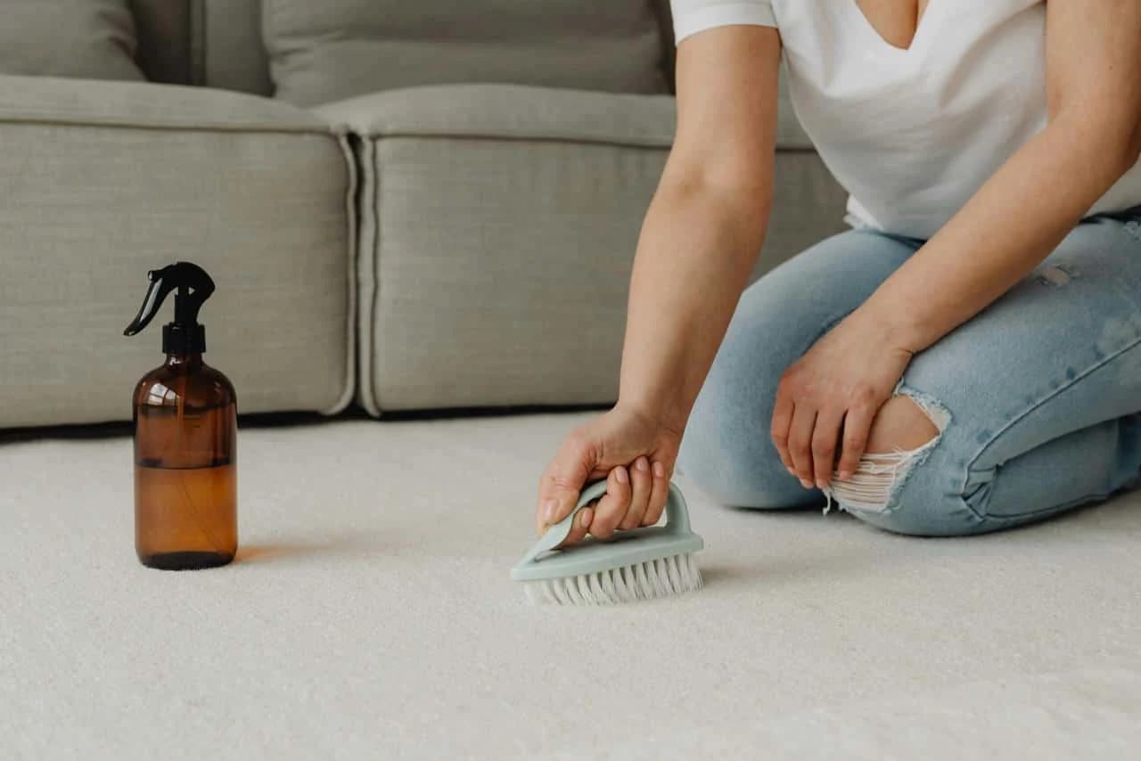 Gentle spot cleaning on a light-coloured carpet