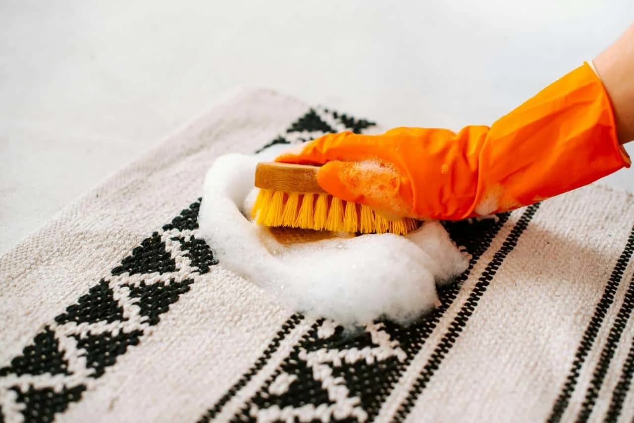 Deep cleaning a patterned rug with a soft brush